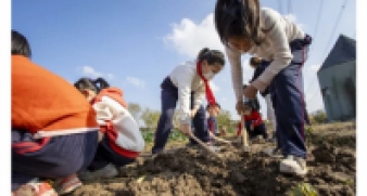 一碗炒飯，一日農(nóng)民，一種感恩。
