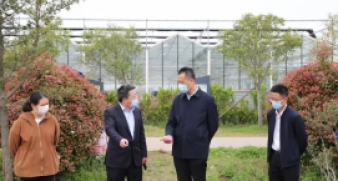 市農(nóng)業(yè)農(nóng)村局局長史立權(quán)赴龍山鎮(zhèn)調(diào)研指導(dǎo)疫情防控和生產(chǎn)保供工作