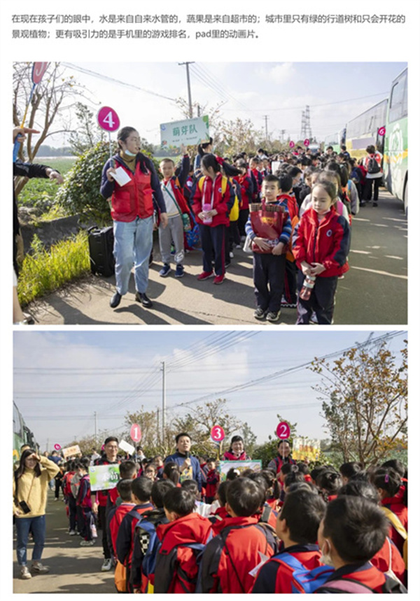 一碗炒飯，一日農民，一種感恩。(圖3)