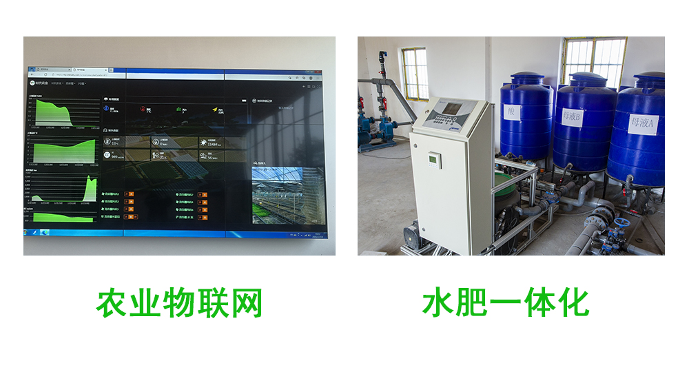 智慧農(nóng)業(yè)(圖4) 1-2204151255233C.jpg